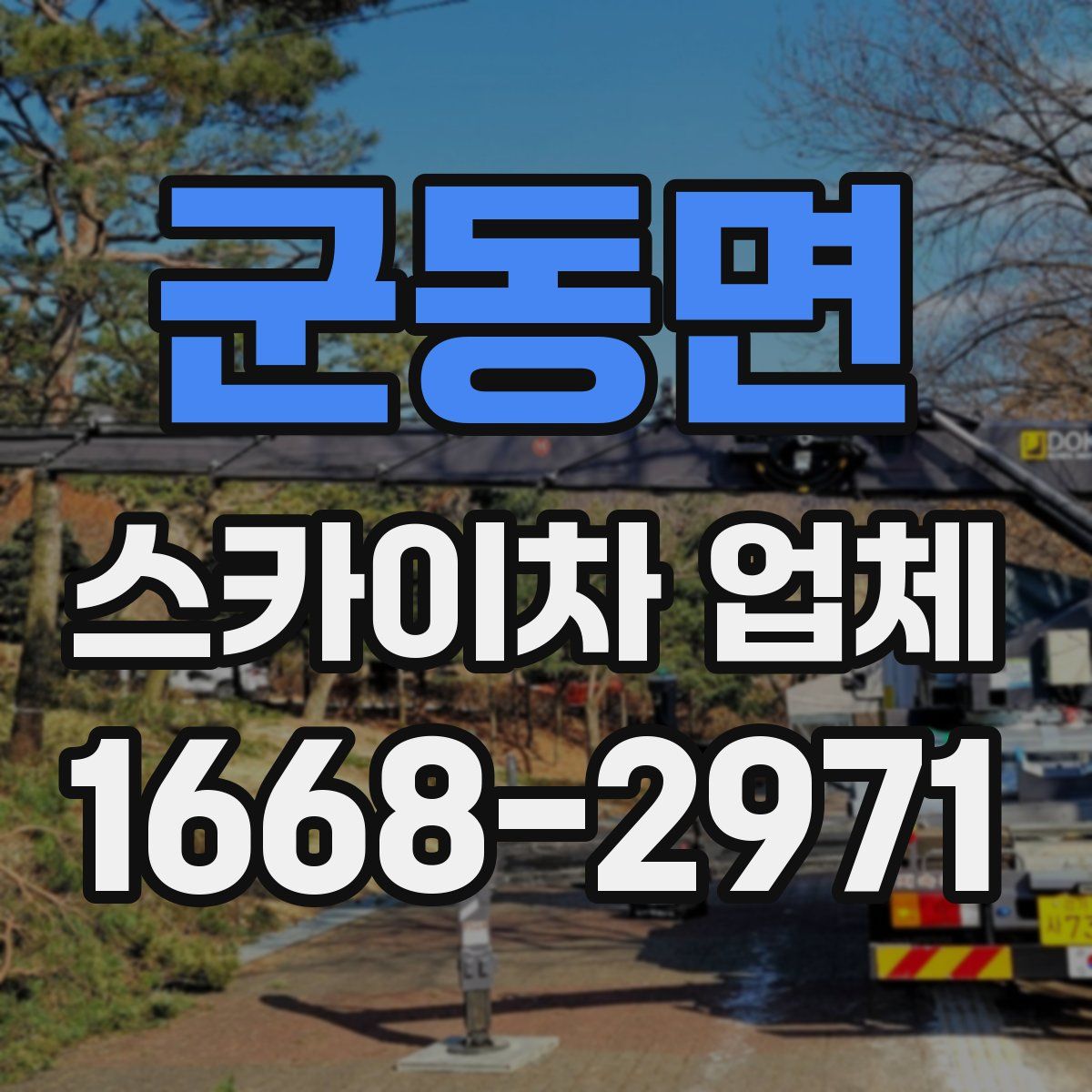 군동면 스카이차 업체