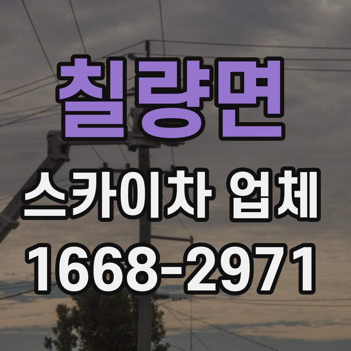 칠량면 스카이차 업체