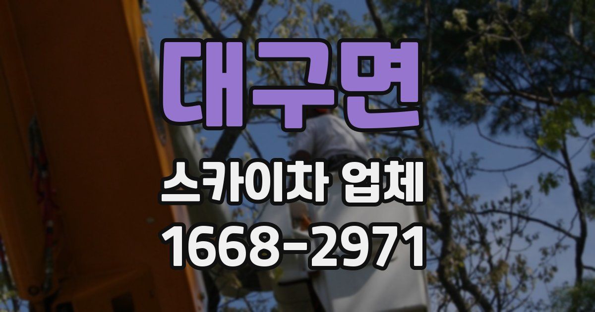 대구면 스카이차 업체