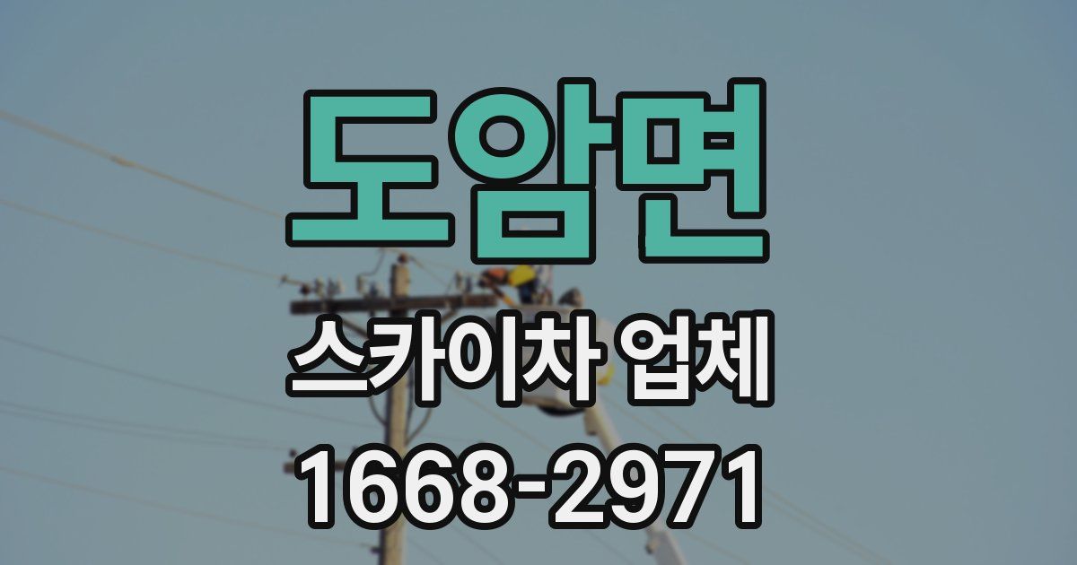 도암면 스카이차 업체