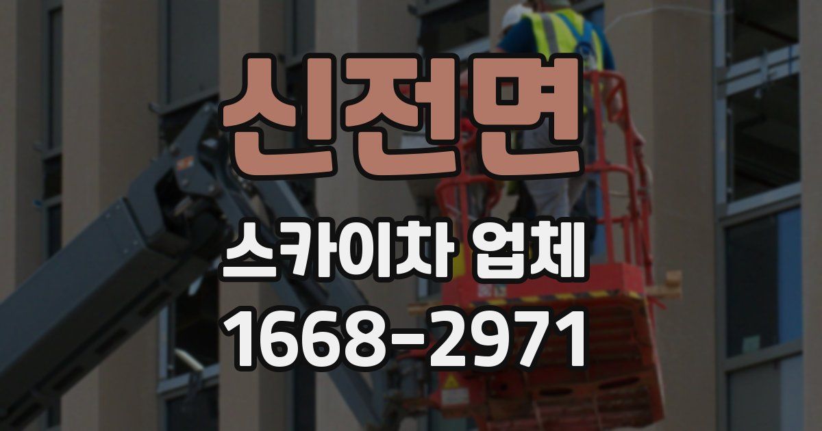 신전면 스카이차 업체