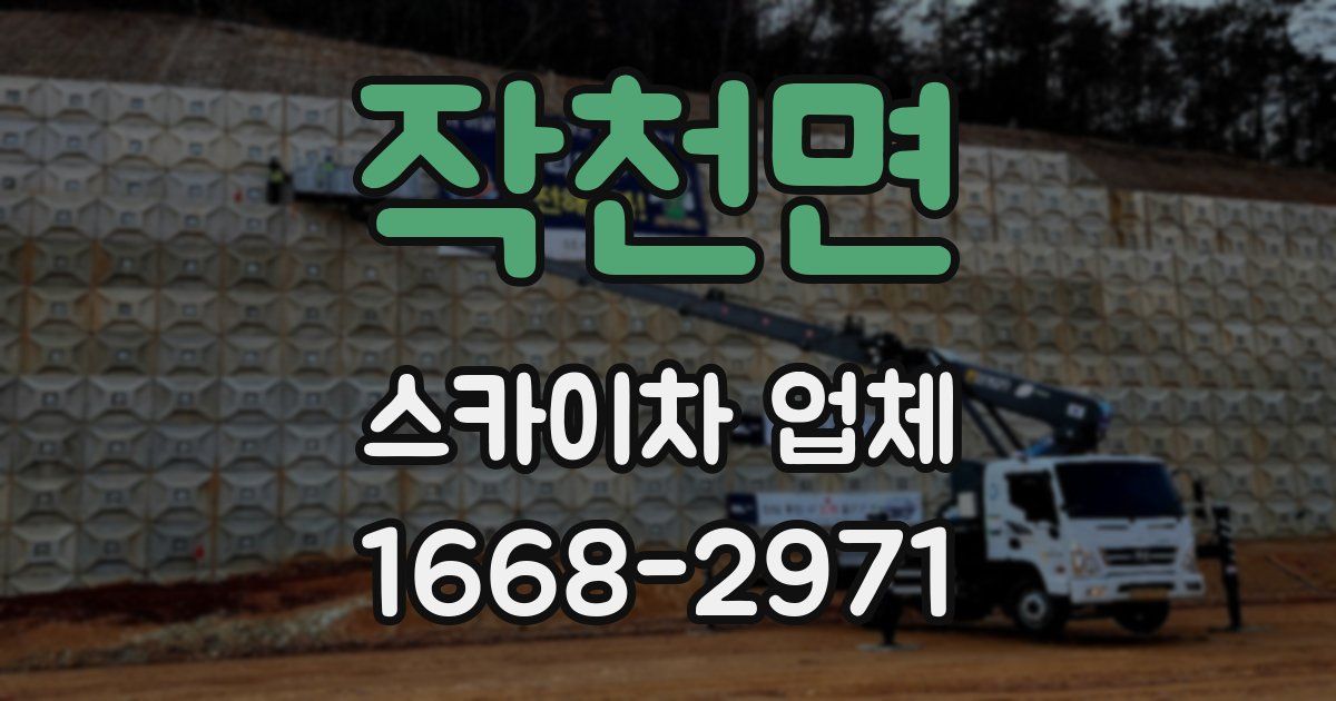 작천면 스카이차 업체