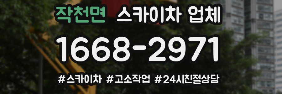 작천면 스카이차 업체