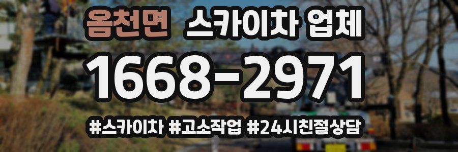 옴천면 스카이차 업체
