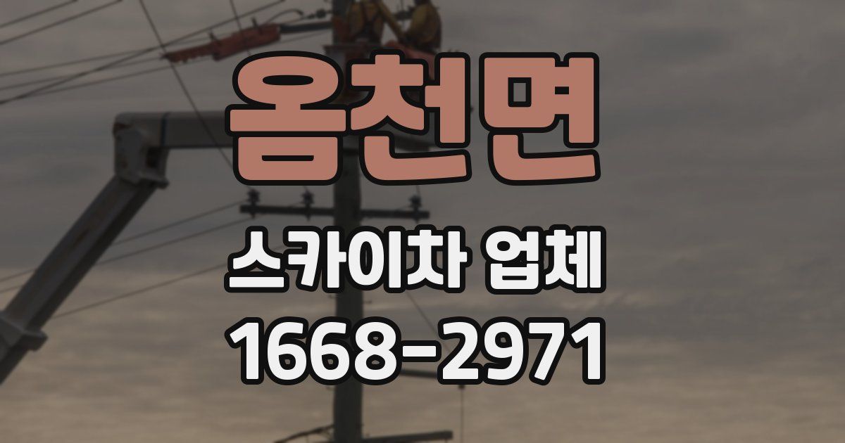 옴천면 스카이차 업체