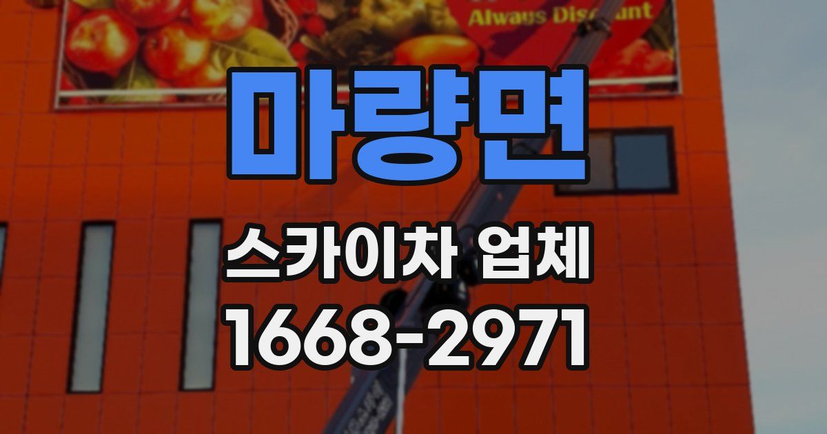 마량면 스카이차 업체