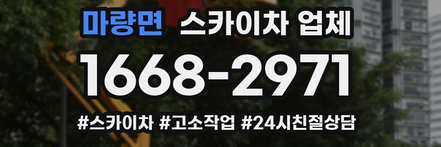 마량면 스카이차 업체