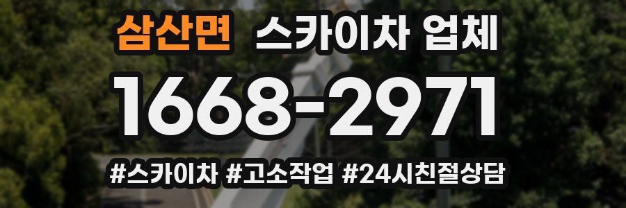 삼산면 스카이차 업체
