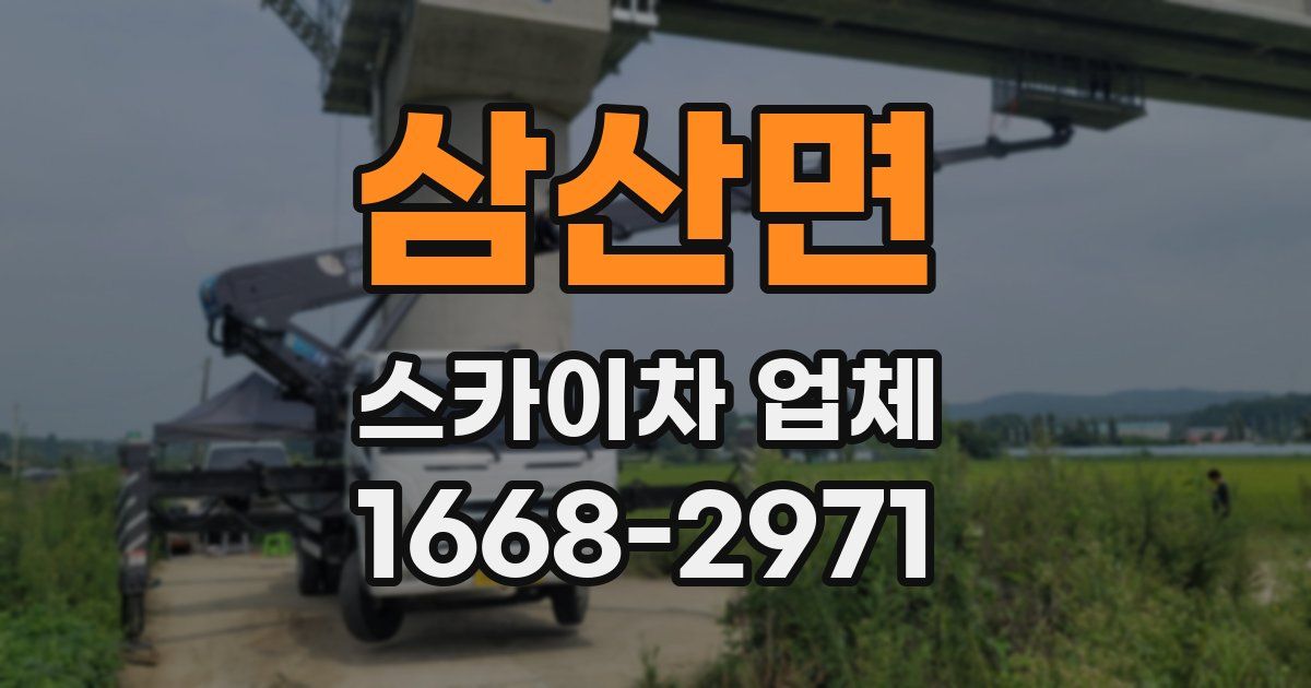 삼산면 스카이차 업체