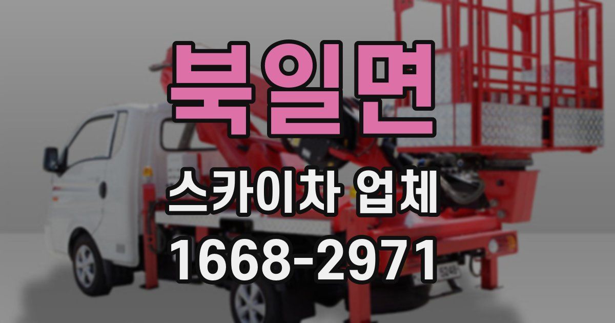 북일면 스카이차 업체