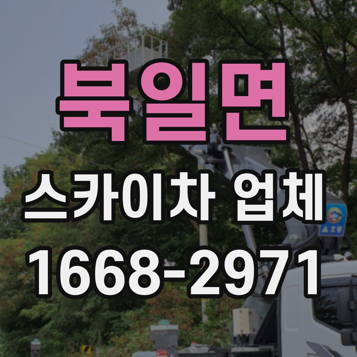 북일면 스카이차 업체