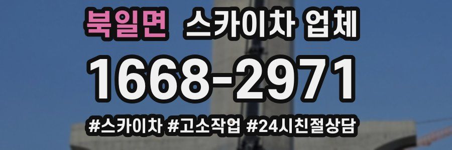 북일면 스카이차 업체