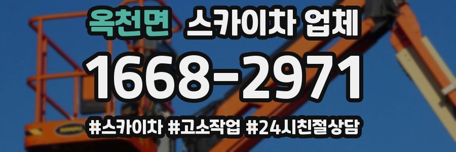 옥천면 스카이차 업체