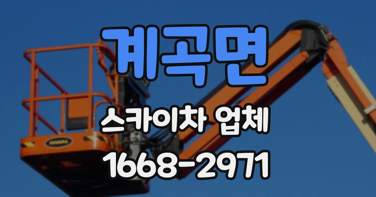 계곡면 스카이차 업체