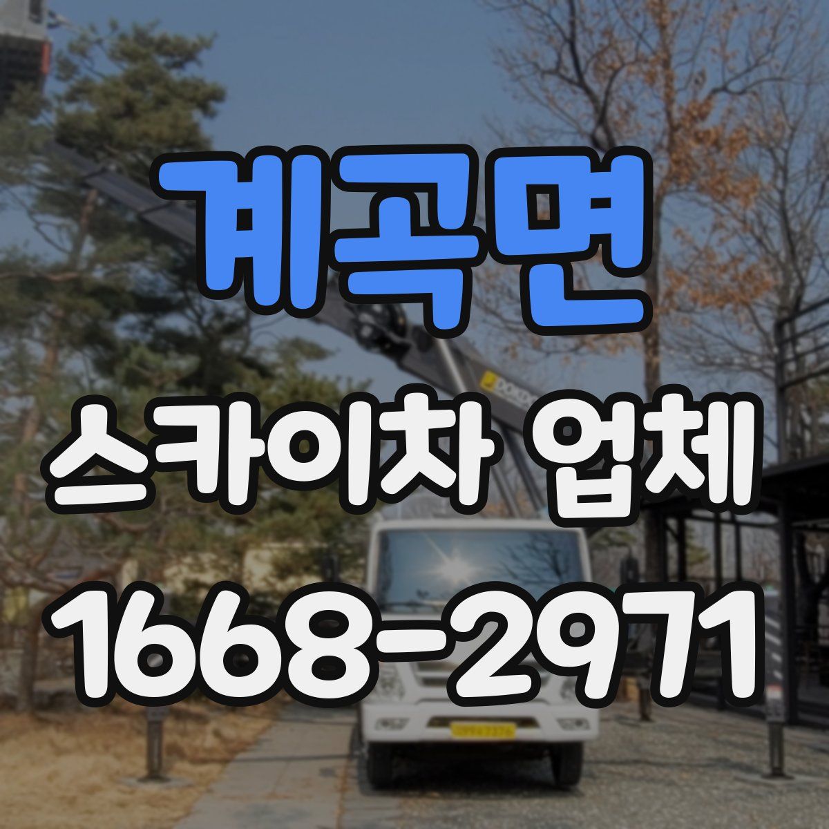 계곡면 스카이차 업체
