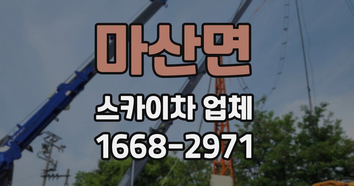 마산면 스카이차 업체