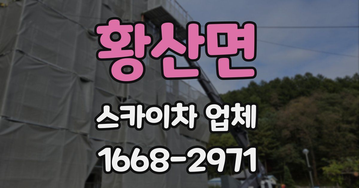황산면 스카이차 업체