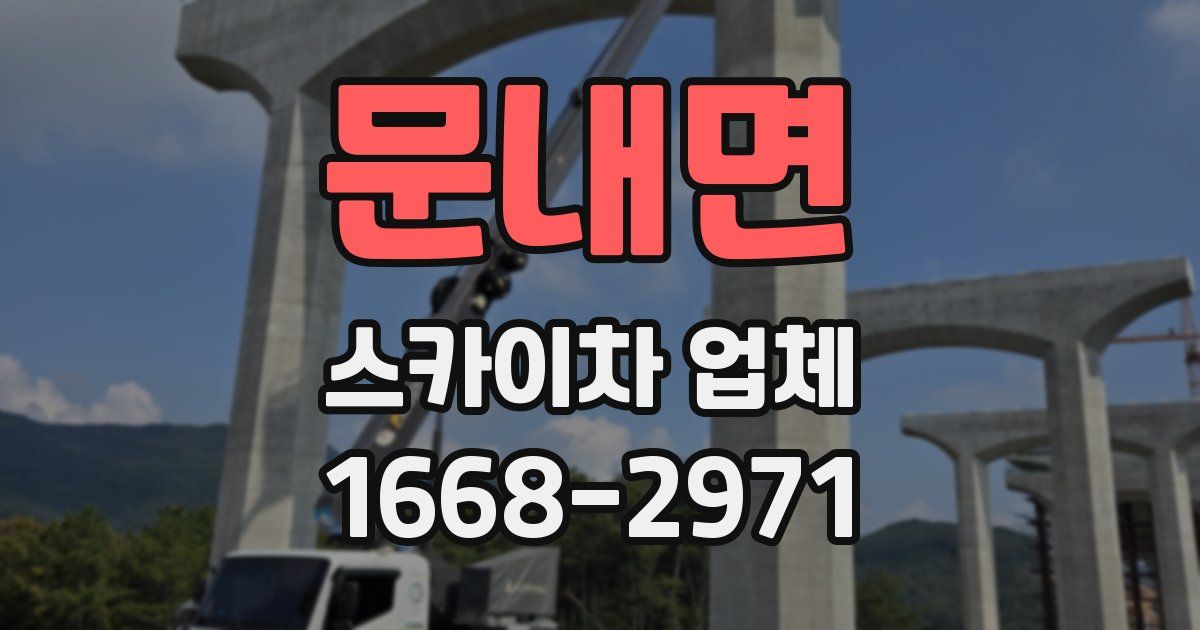 문내면 스카이차 업체