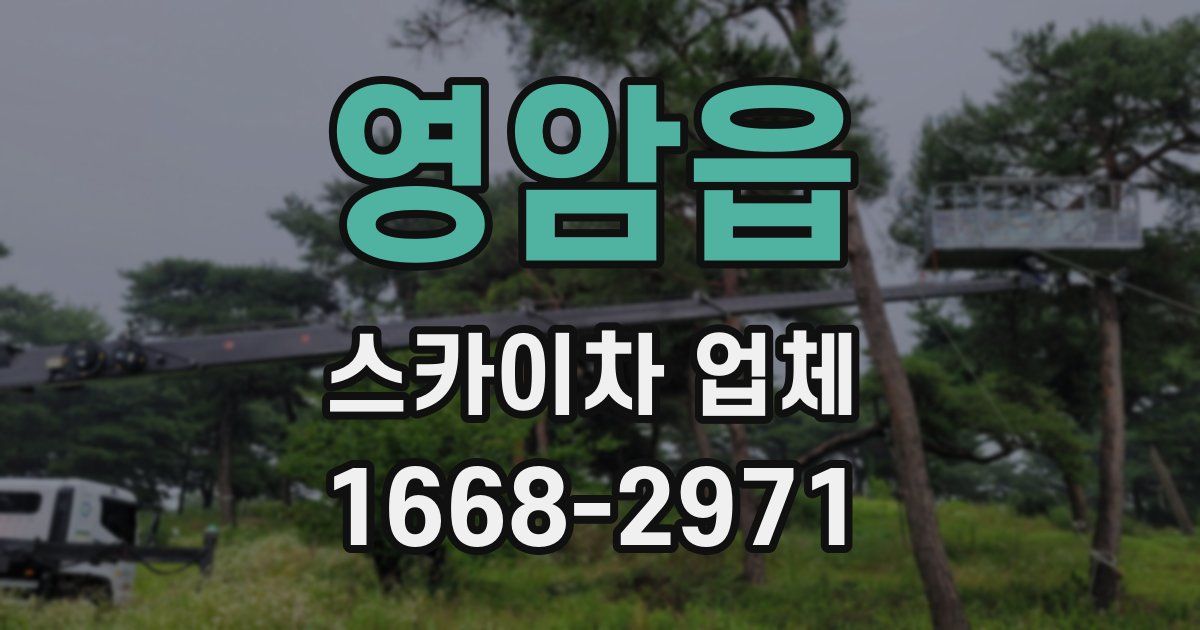 영암읍 스카이차 업체