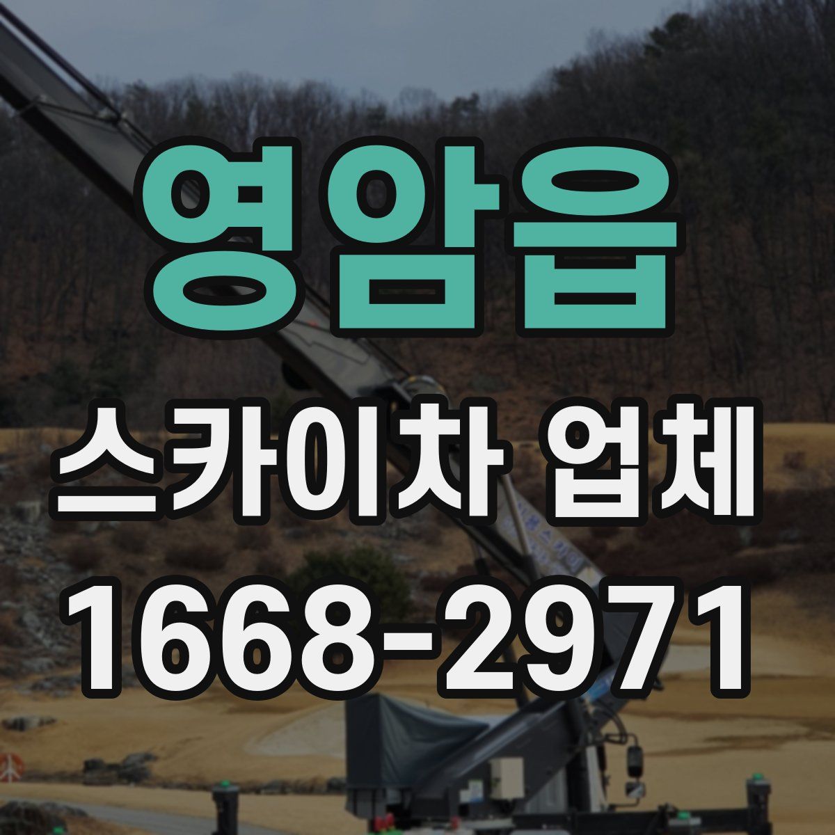 영암읍 스카이차 업체