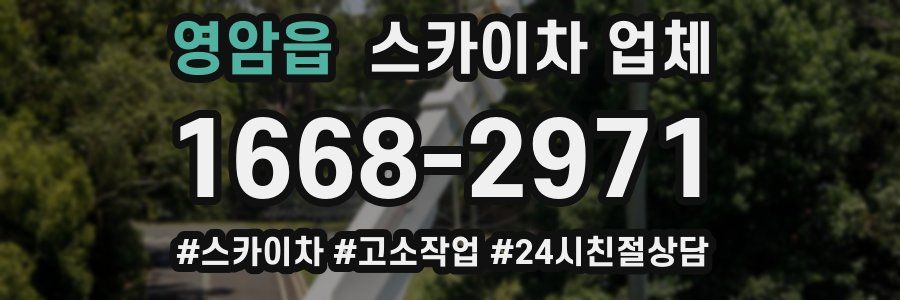 영암읍 스카이차 업체