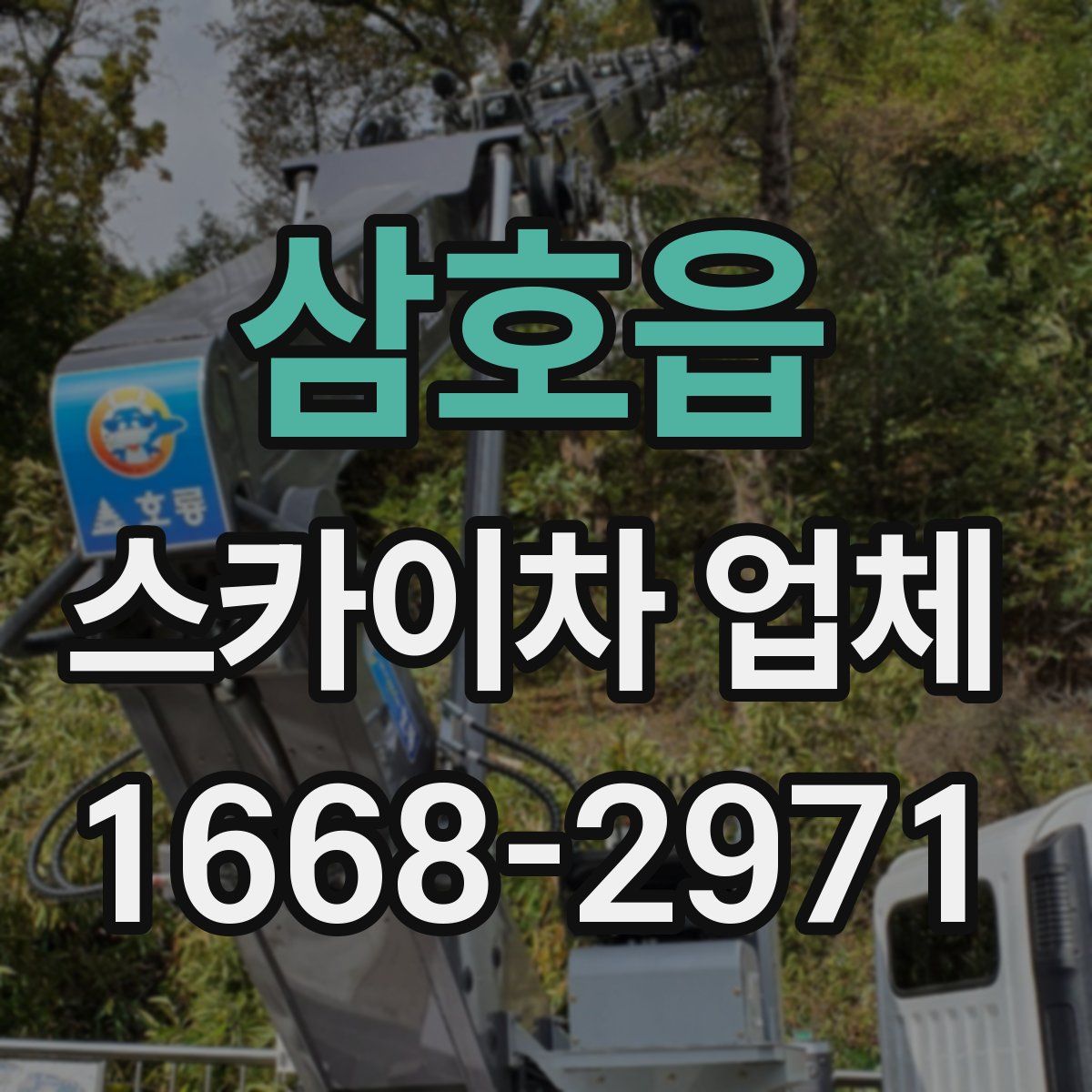 삼호읍 스카이차 업체