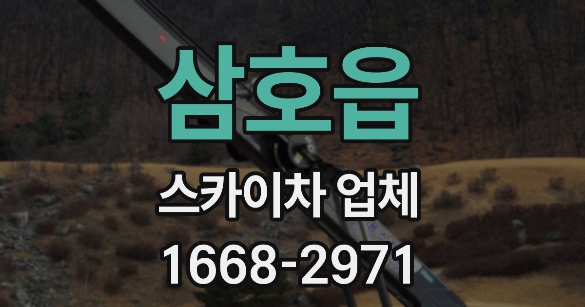 삼호읍 스카이차 업체