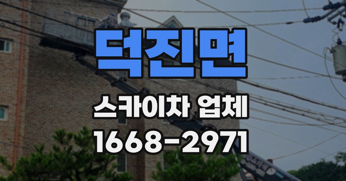 덕진면 스카이차 업체