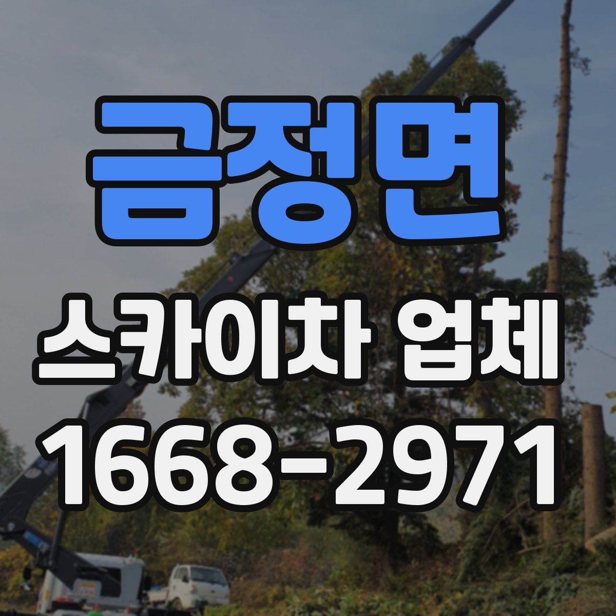 금정면 스카이차 업체