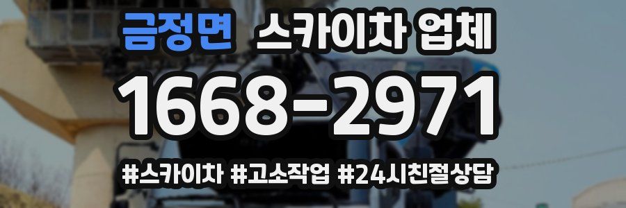 금정면 스카이차 업체