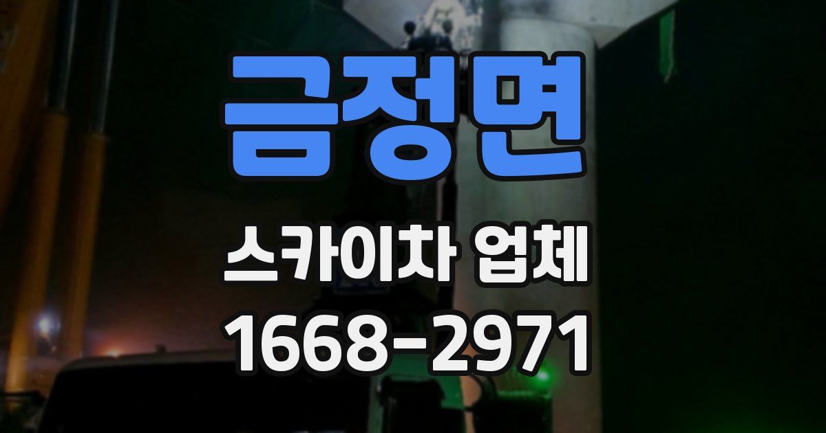 금정면 스카이차 업체