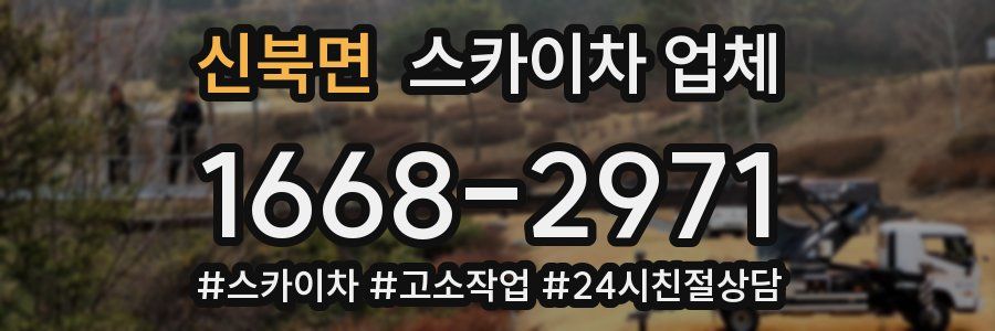신북면 스카이차 업체