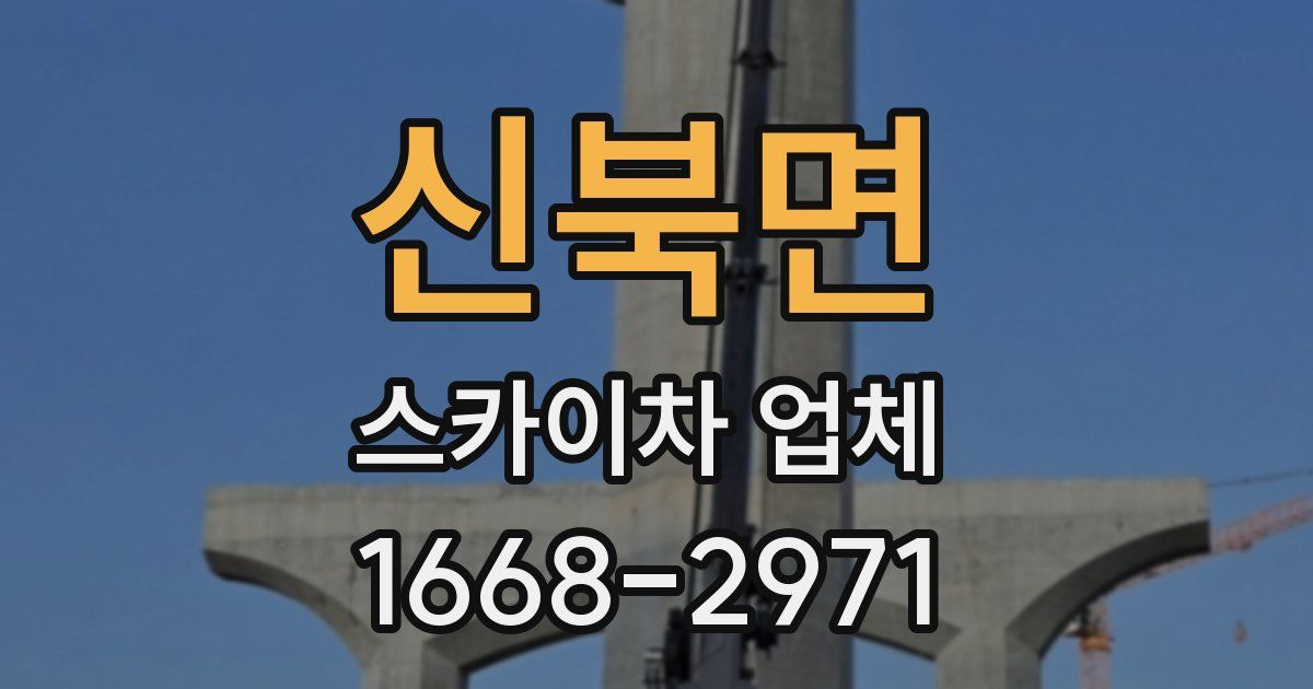 신북면 스카이차 업체
