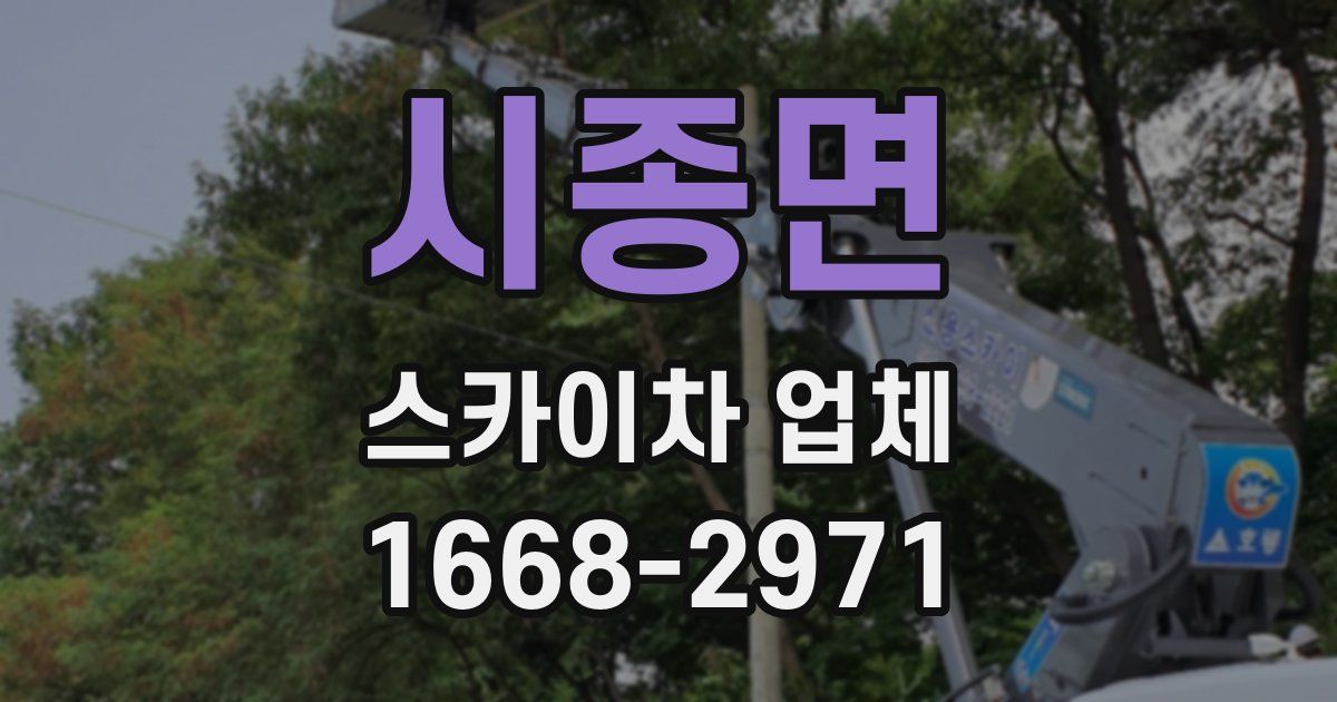 시종면 스카이차 업체