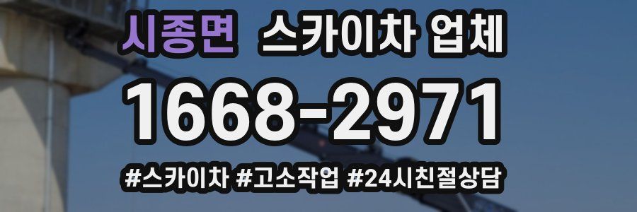 시종면 스카이차 업체