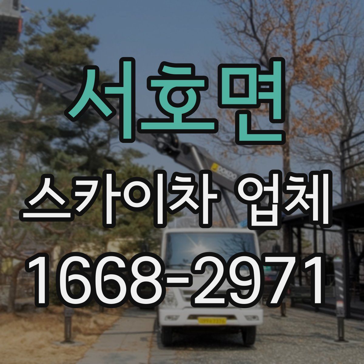 서호면 스카이차 업체