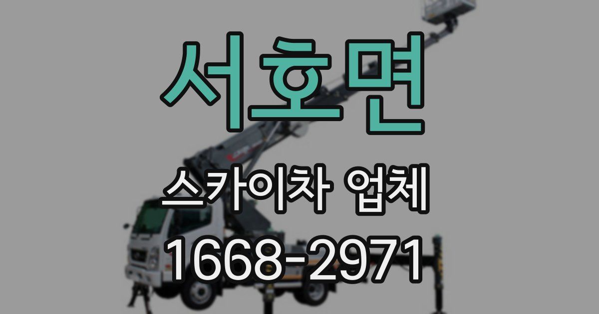 서호면 스카이차 업체