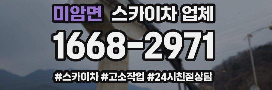 미암면 스카이차 업체
