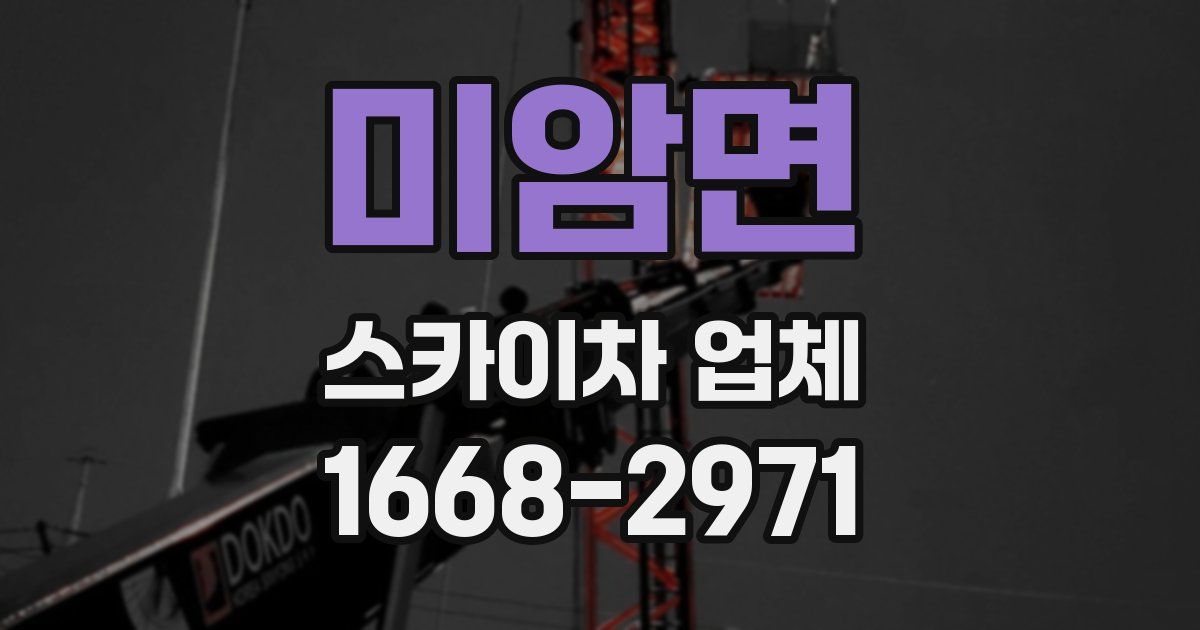 미암면 스카이차 업체
