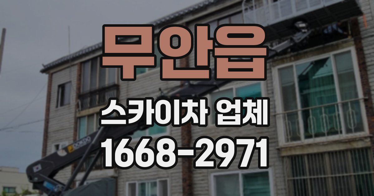 무안읍 스카이차 업체