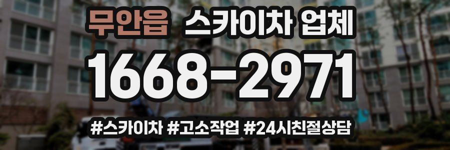 무안읍 스카이차 업체