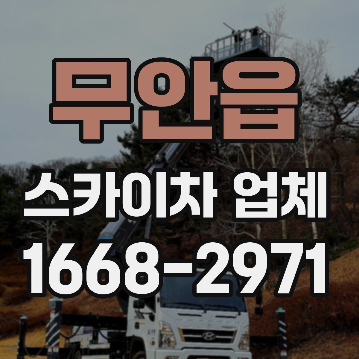 무안읍 스카이차 업체
