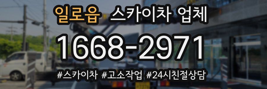 일로읍 스카이차 업체