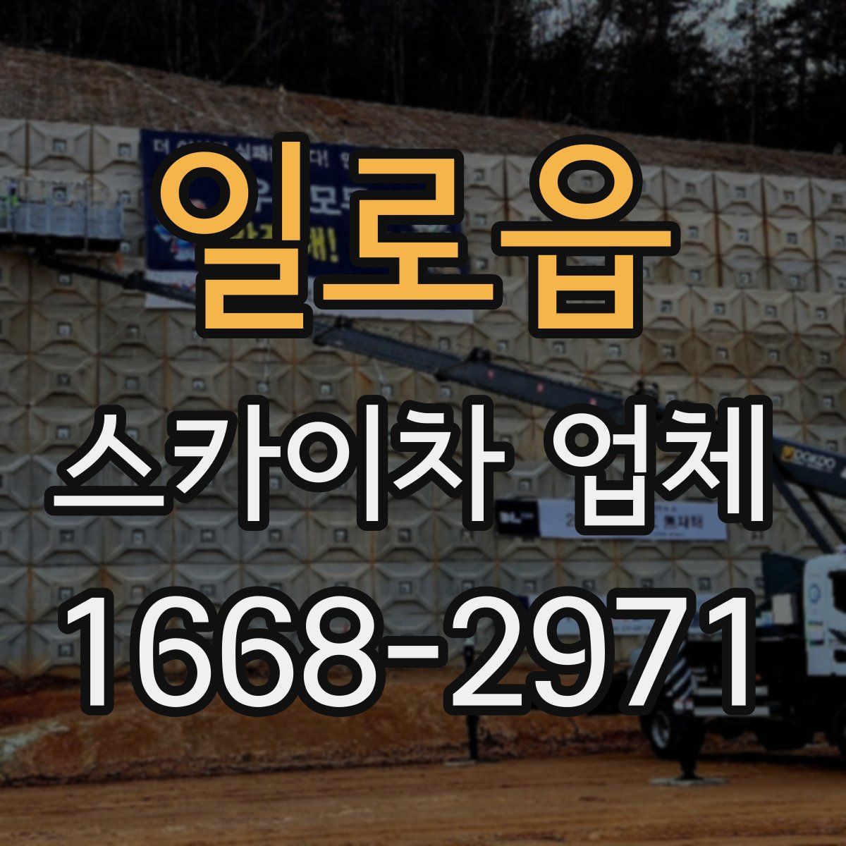 일로읍 스카이차 업체