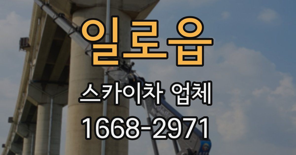 일로읍 스카이차 업체