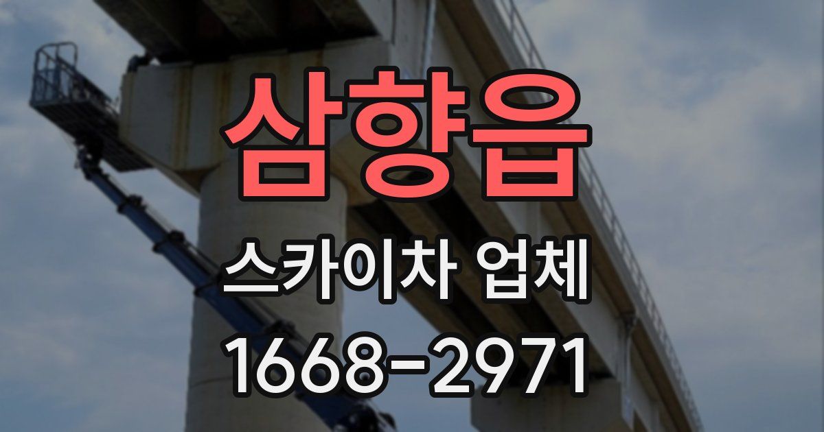 삼향읍 스카이차 업체