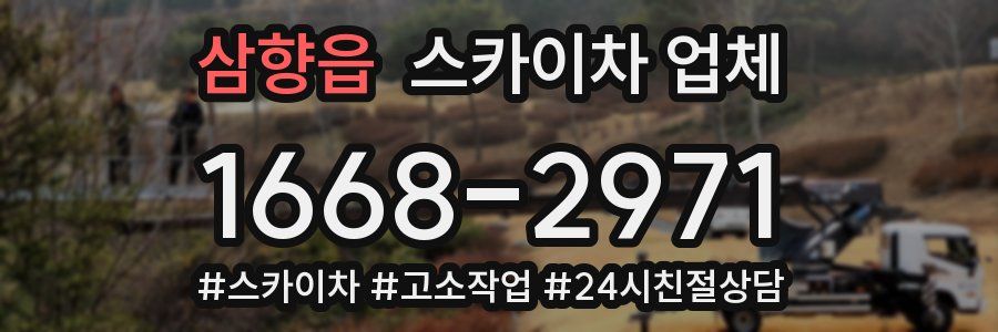 삼향읍 스카이차 업체
