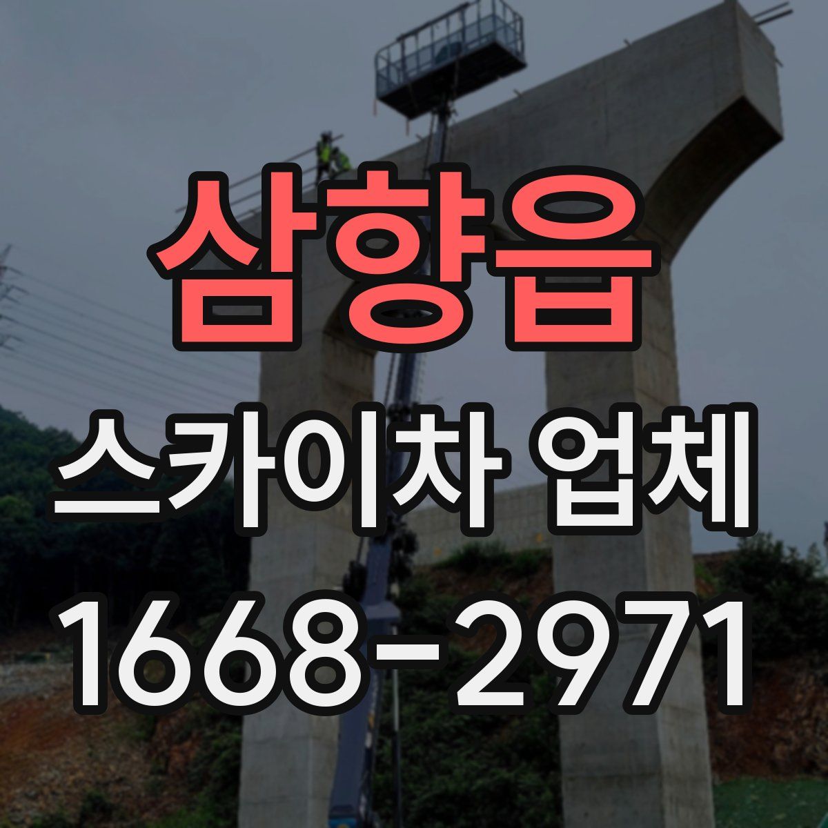 삼향읍 스카이차 업체