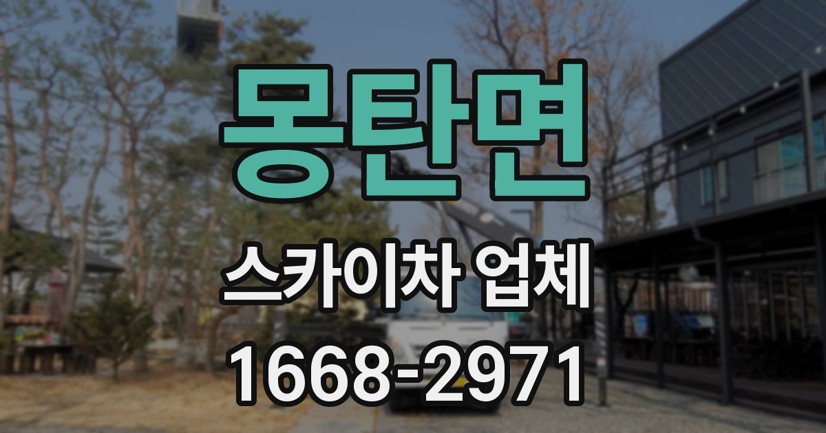 몽탄면 스카이차 업체