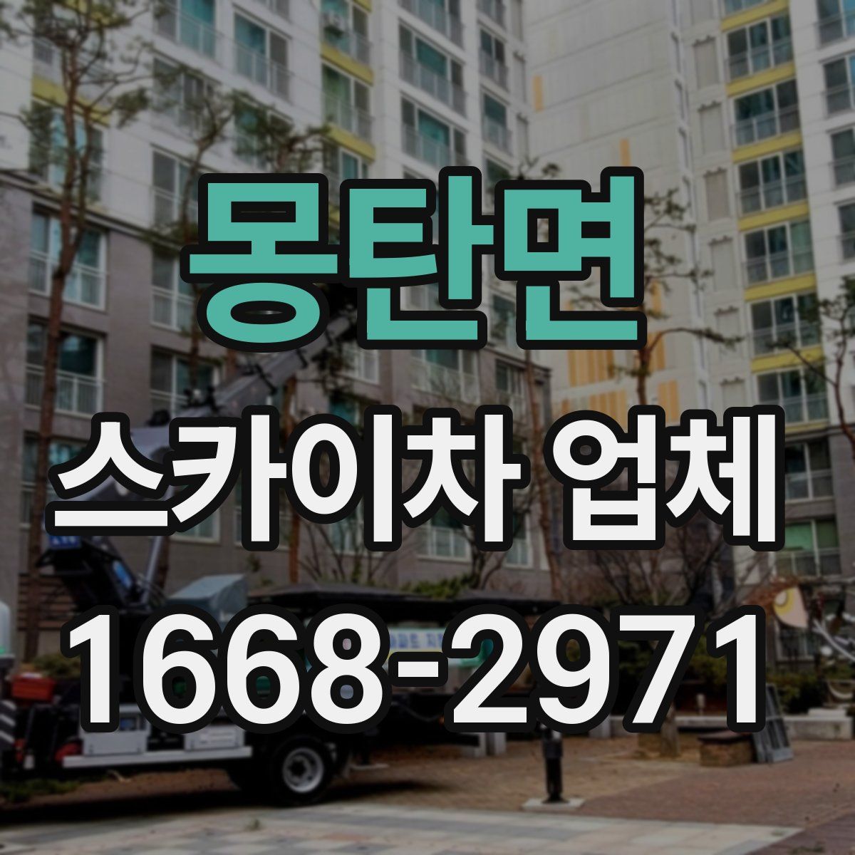 몽탄면 스카이차 업체